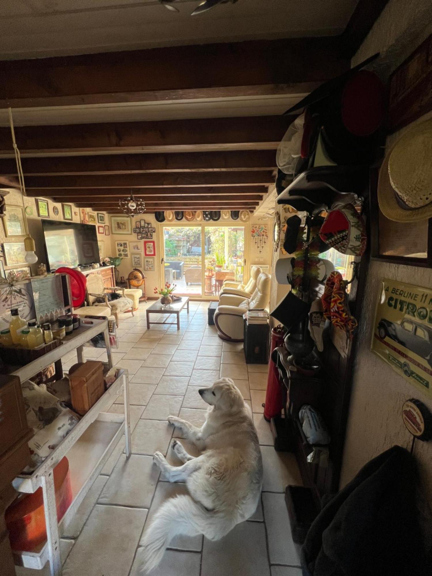 La Maison Du Bonheur Saintry-sur-Seine Zewnętrze zdjęcie